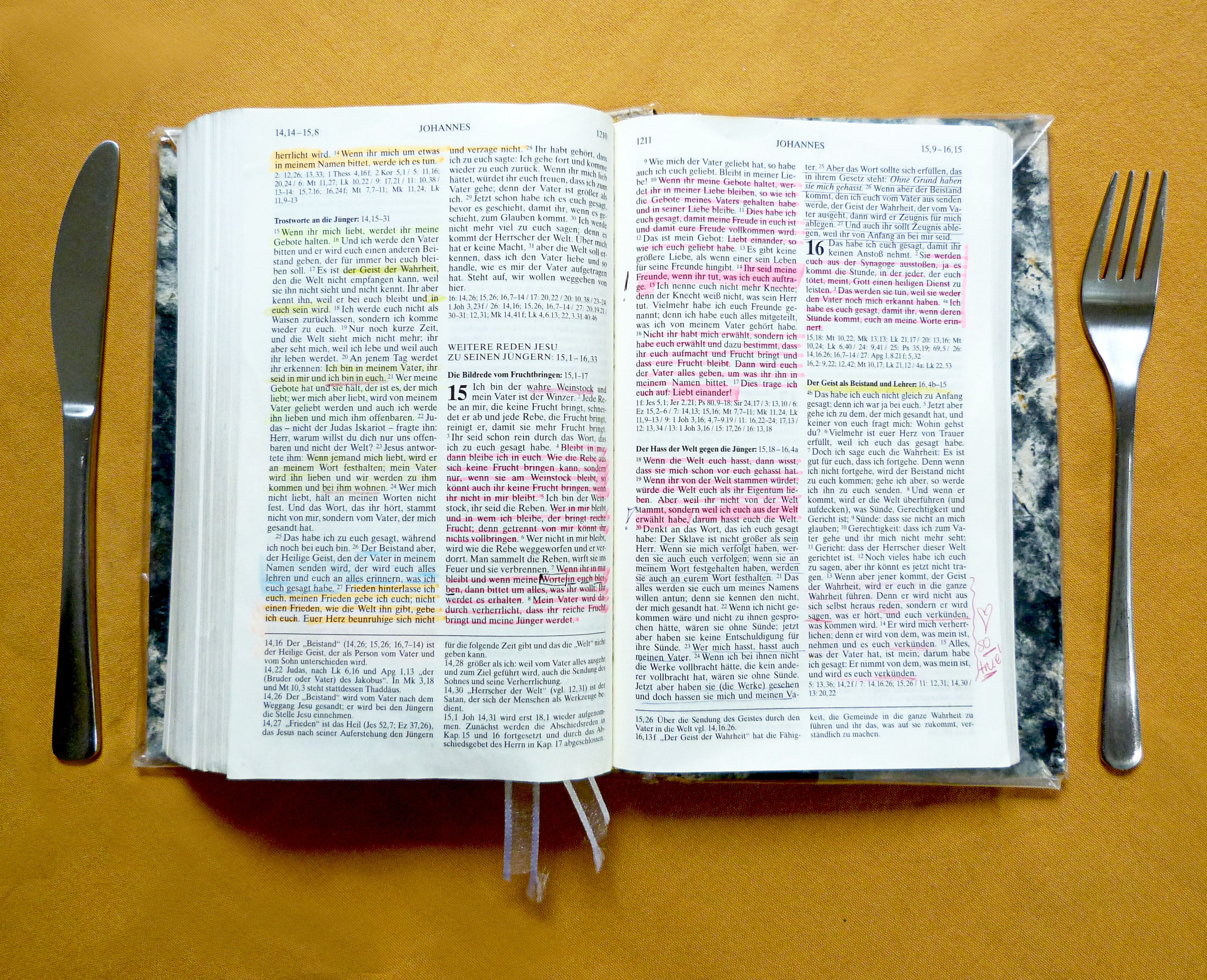 liebessprüche aus liedern